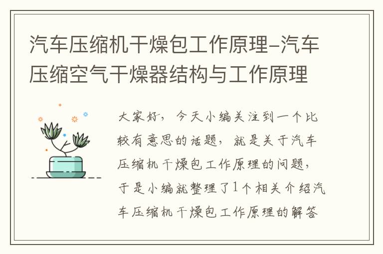 汽车压缩机干燥包工作原理-汽车压缩空气干燥器结构与工作原理