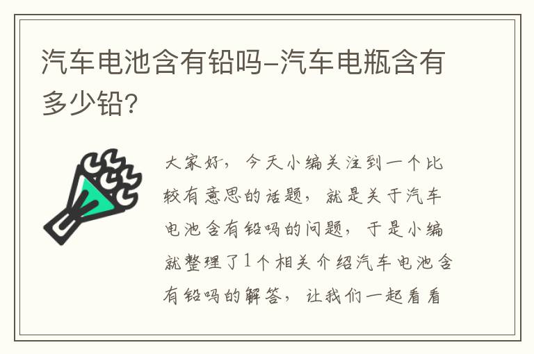 汽车电池含有铅吗-汽车电瓶含有多少铅?