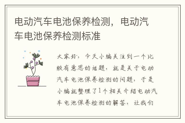 电动汽车电池保养检测，电动汽车电池保养检测标准