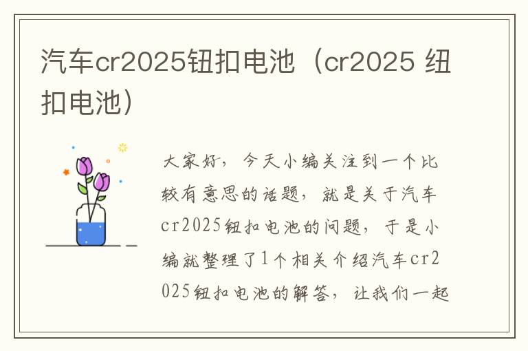 汽车cr2025钮扣电池（cr2025 纽扣电池）