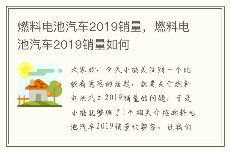 燃料电池汽车2019销量，燃料电池汽车2019销量如何