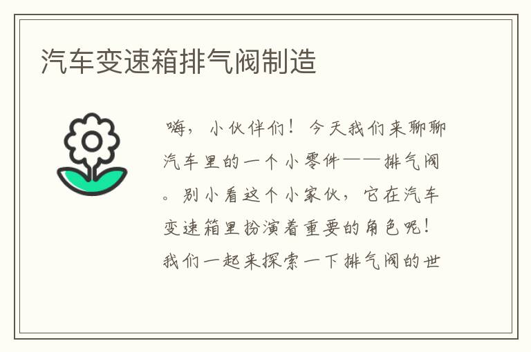 汽车变速箱排气阀制造