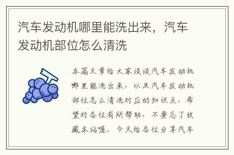 汽车发动机哪里能洗出来，汽车发动机部位怎么清洗