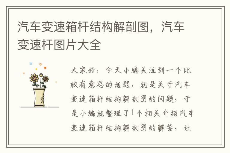 汽车变速箱杆结构解剖图，汽车变速杆图片大全