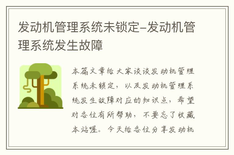 发动机管理系统未锁定-发动机管理系统发生故障