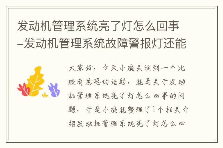 发动机管理系统亮了灯怎么回事-发动机管理系统故障警报灯还能开吗