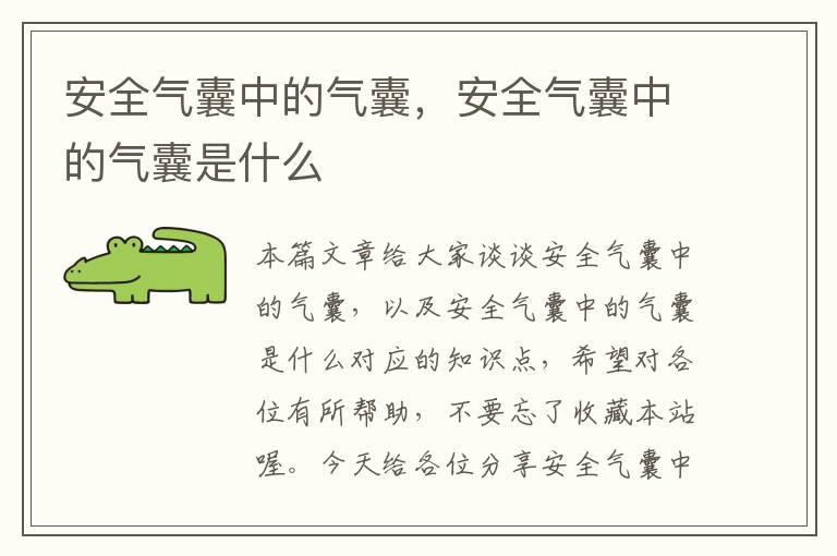 安全气囊中的气囊，安全气囊中的气囊是什么