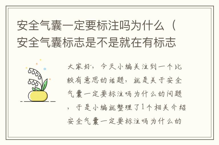 安全气囊一定要标注吗为什么（安全气囊标志是不是就在有标志的地方）