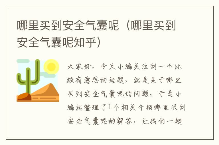 哪里买到安全气囊呢（哪里买到安全气囊呢知乎）