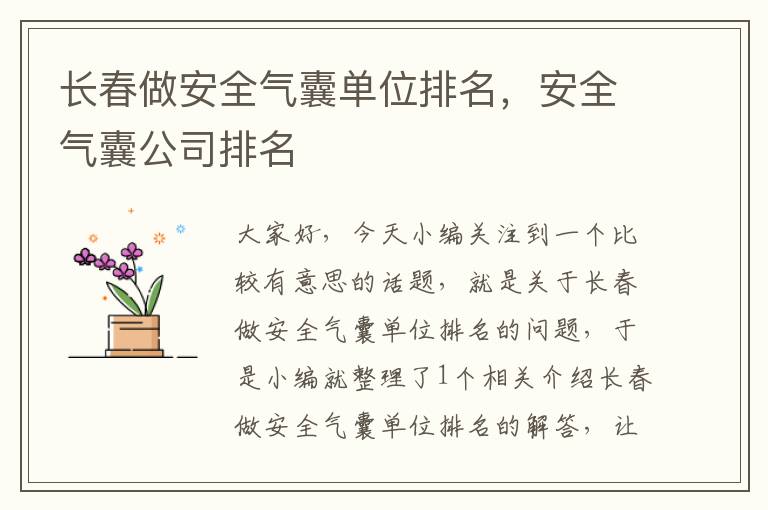 长春做安全气囊单位排名，安全气囊公司排名