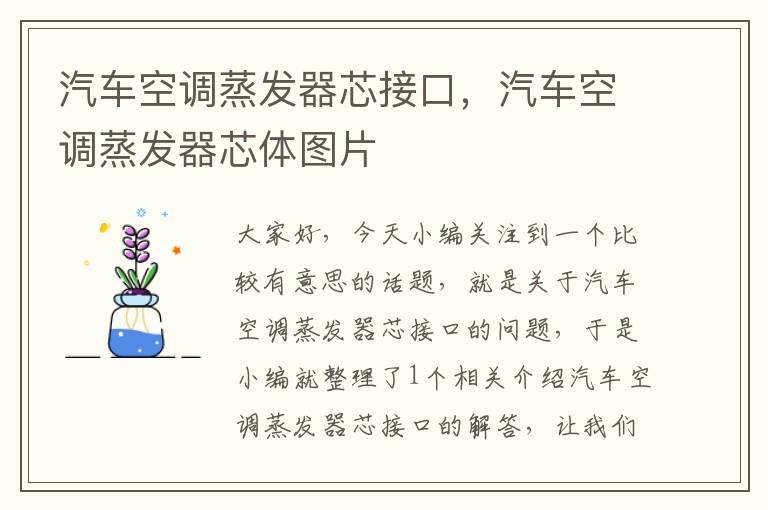 汽车空调蒸发器芯接口，汽车空调蒸发器芯体图片