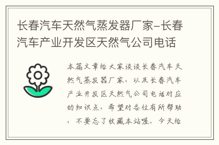 长春汽车天然气蒸发器厂家-长春汽车产业开发区天然气公司电话