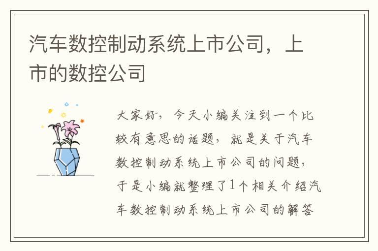 汽车数控制动系统上市公司，上市的数控公司