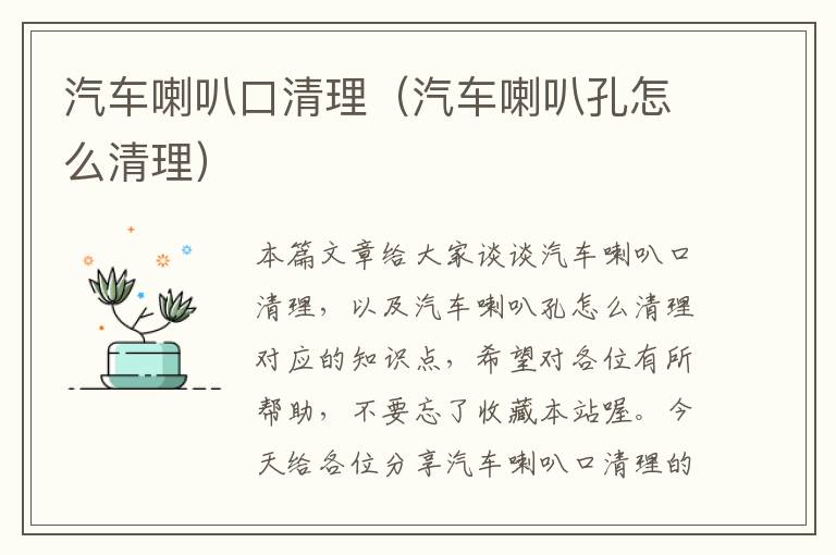 汽车喇叭口清理（汽车喇叭孔怎么清理）