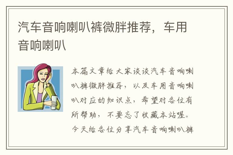 汽车音响喇叭裤微胖推荐，车用音响喇叭