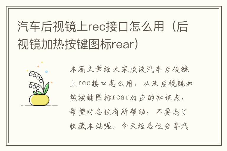 汽车后视镜上rec接口怎么用（后视镜加热按键图标rear）