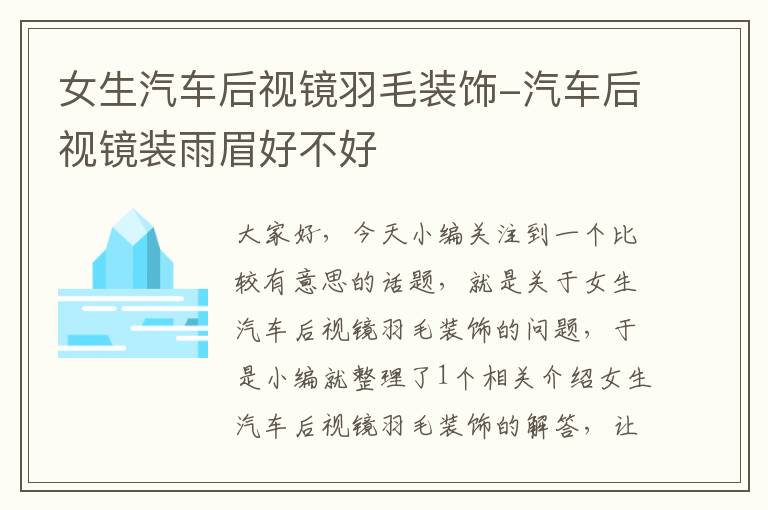 女生汽车后视镜羽毛装饰-汽车后视镜装雨眉好不好