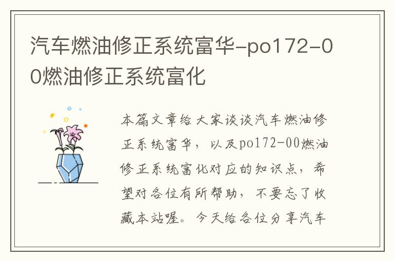 汽车燃油修正系统富华-po172-00燃油修正系统富化