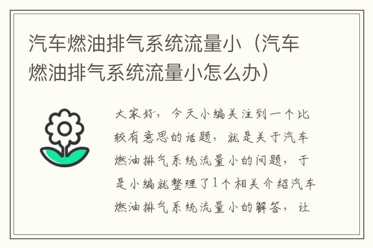 汽车燃油排气系统流量小（汽车燃油排气系统流量小怎么办）