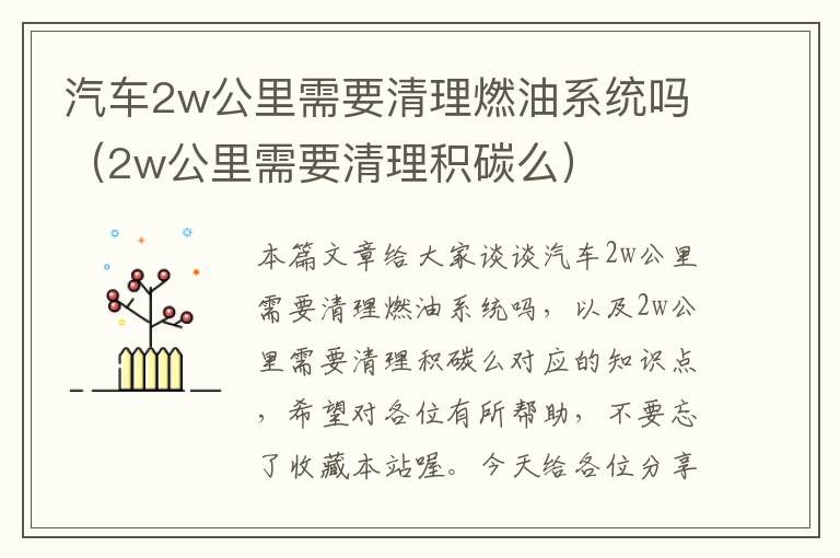 汽车2w公里需要清理燃油系统吗（2w公里需要清理积碳么）