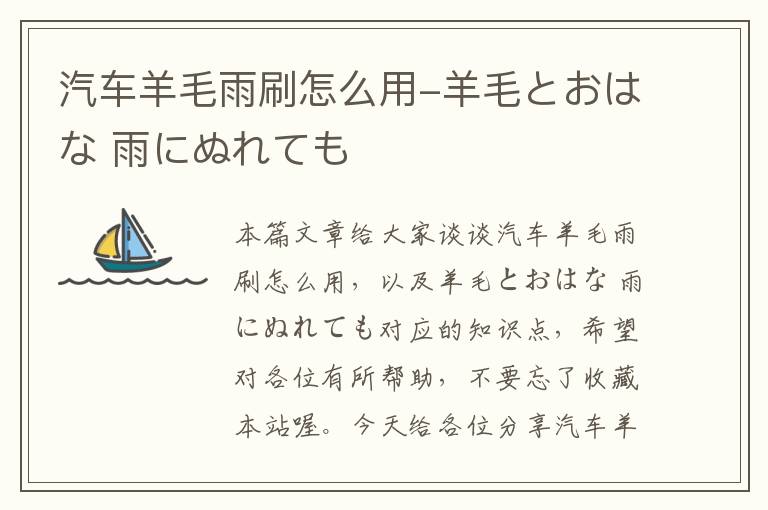 汽车羊毛雨刷怎么用-羊毛とおはな 雨にぬれても