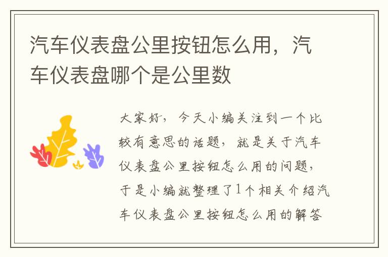 汽车仪表盘公里按钮怎么用，汽车仪表盘哪个是公里数