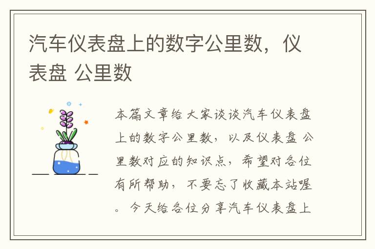 汽车仪表盘上的数字公里数，仪表盘 公里数