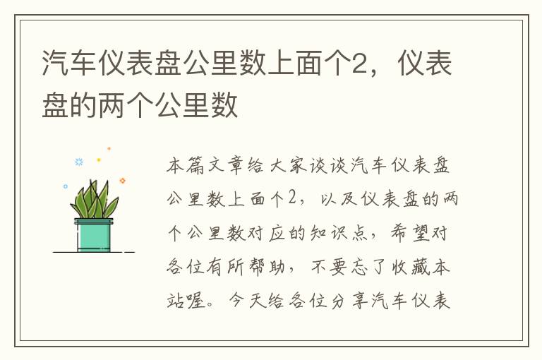 汽车仪表盘公里数上面个2，仪表盘的两个公里数